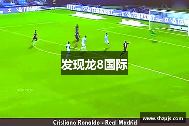 发现龙8国际